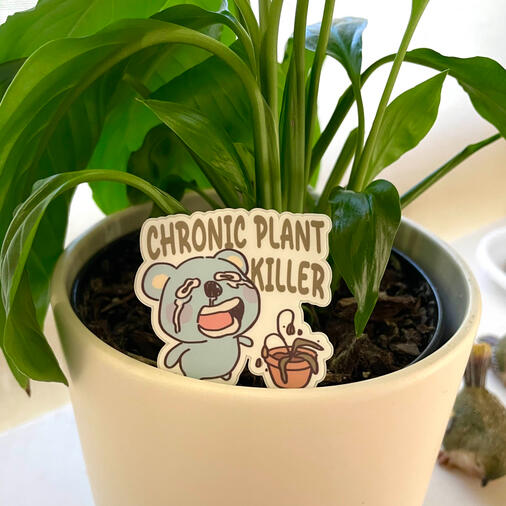 Plant Killer